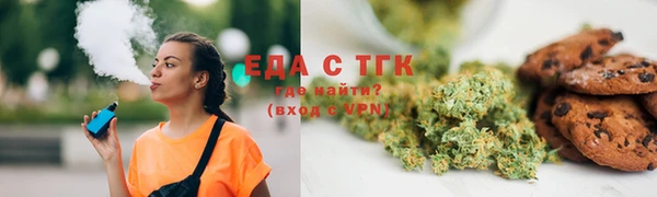 индика Алексин