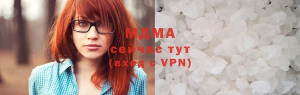 индика Алексин