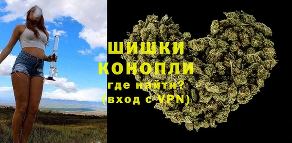 дмт Мегион