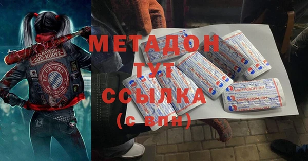 индика Алексин