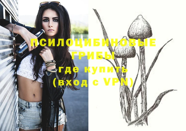 спайс Алексеевка