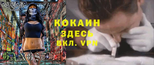 индика Алексин