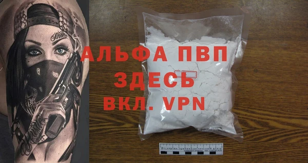 индика Алексин