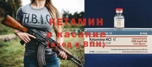 индика Алексин