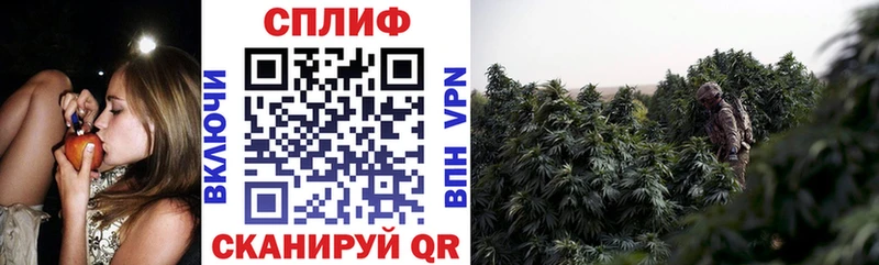 блэк спрут ссылка  Пучеж  Шишки марихуана White Widow  где можно купить наркотик 